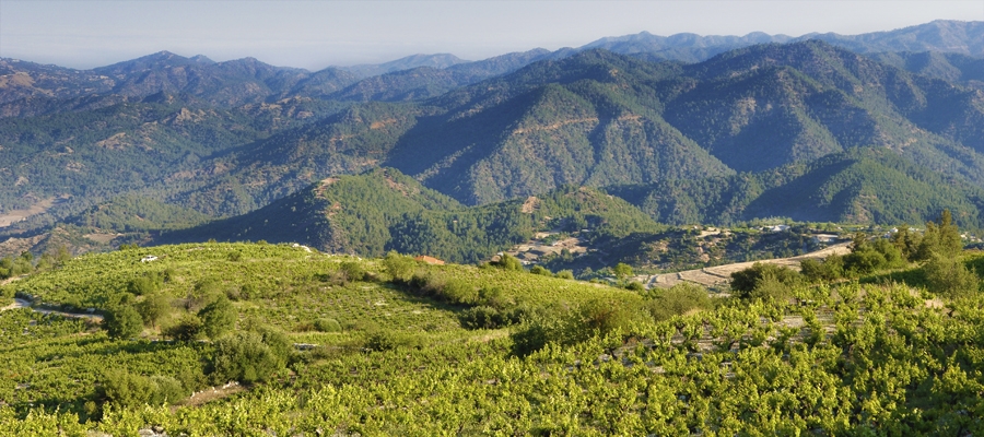 Vouni Panagias - Ambelitis Wine Route image